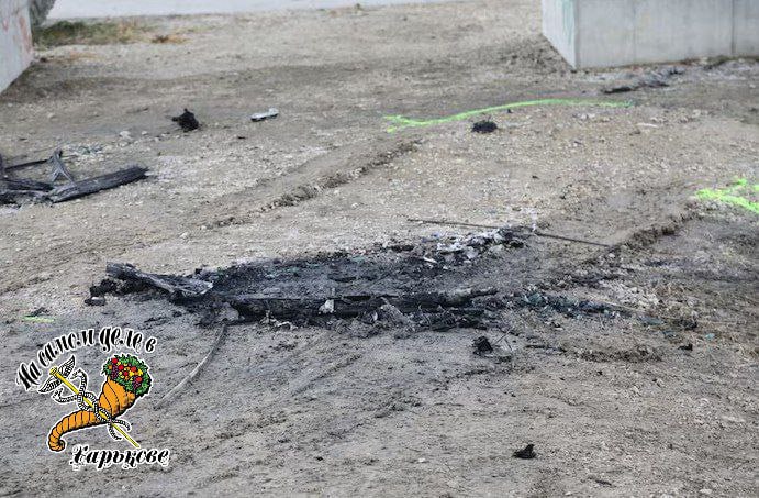 🇦🇹🇺🇦 В Вене насмерть забили и сожгли сына заместителя мэра Харькова Сергей Кузьмина