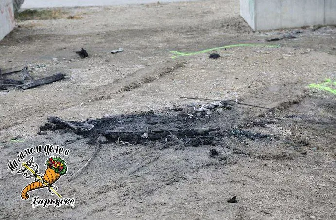 🇦🇹🇺🇦 В Вене насмерть забили и сожгли сына заместителя мэра Харькова Сергей Кузьмина