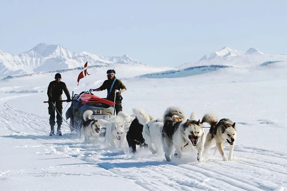 Дискомбобулятор: Трамп рассекретил тайное оружие, которое помогло ему в похищении Мадуро