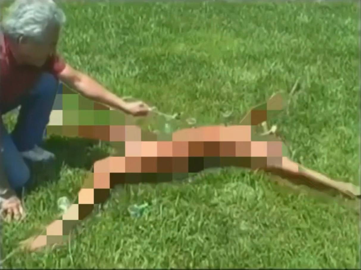 π€‘ ΠΠΎΠΌΠ½ΠΈΡΠ΅ ΠΊΠΎΠΌΠΈΠΊΠ°-Π³ΠΎΠΌΠΈΠΊΠ° ΠΏΠΎ ΡΠ°ΠΌΠΈΠ»ΠΈΠΈ ΠΡΡΠ°Π½ΠΈΠ½, ΠΊΠΎΡΠΎΡΡΠΉ Π³Π»ΡΠΌΠΈΠ»ΡΡ Π½Π°Π΄ Π²Π΅ΡΠ΅ΡΠ°Π½ΠΎΠΌ Π²ΠΎΠΉΠ½Ρ, ΠΏΠΎΡΠ΅ΡΡΠ²ΡΠΈΠΌ ΠΎΠ±Π΅ Π½ΠΎΠ³ΠΈ Π² ΡΠ΅Π·ΡΠ»ΡΡΠ°ΡΠ΅ ΠΏΠΎ...