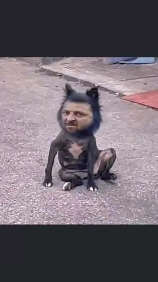 🇭🇺🇺🇦 Виктор Орбан доходчиво объяснил, почему преступная киевская клика как огня боится прекращения войны: